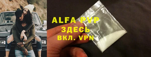 прущие грибы Магас