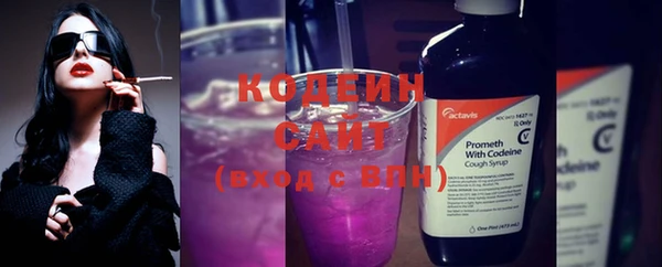 прущие грибы Магас