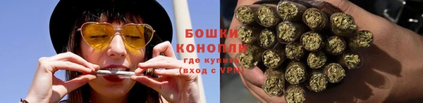 индика Магадан