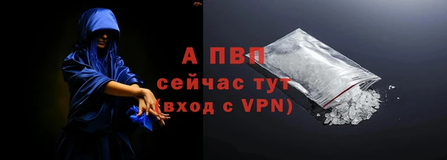 прущие грибы Магас