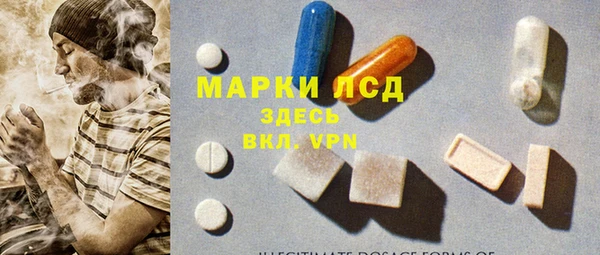 прущие грибы Магас