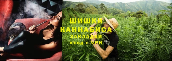 прущие грибы Магас
