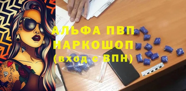 прущие грибы Магас