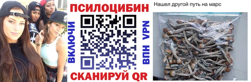 Галлюциногенные грибы Cubensis  Купить где  Вихоревка 